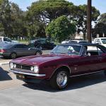 DSC_0231_01 (October 03, 2020)